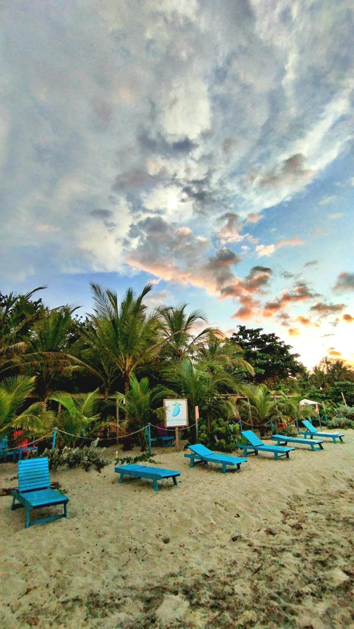 Blue Mango Beach Hotel Guachaca Εξωτερικό φωτογραφία